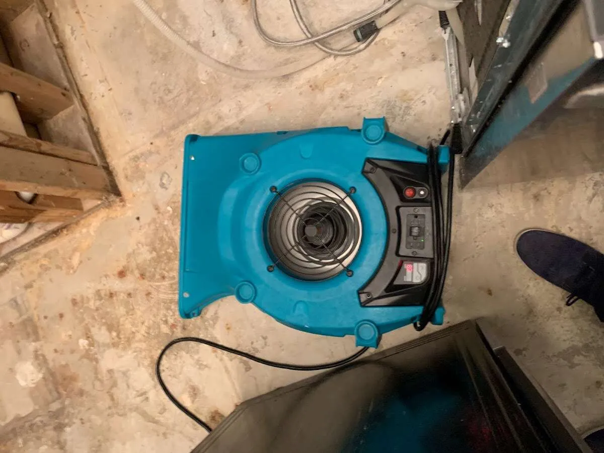 Air mover drying equipment for Mold Remediation & Removal in Elmira